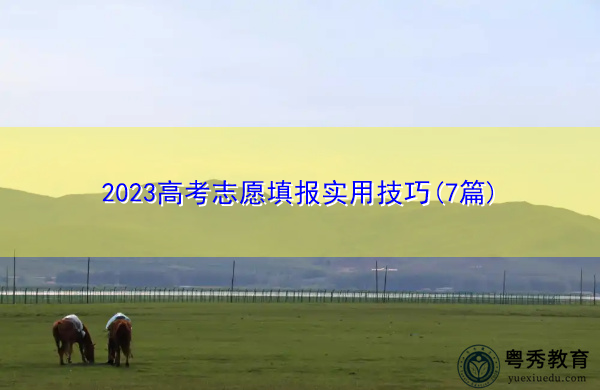 2023高考志愿填报实用技巧(7篇) 2023高考志愿填报实用技巧(7篇)