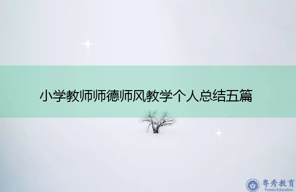 小学教师师德师风教学个人总结五篇
