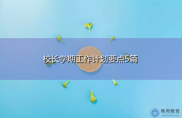 校长学期工作计划要点5篇