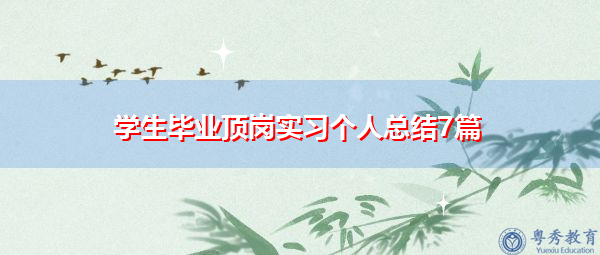 学生毕业顶岗实习个人总结7篇 学生毕业顶岗实习个人总结7篇