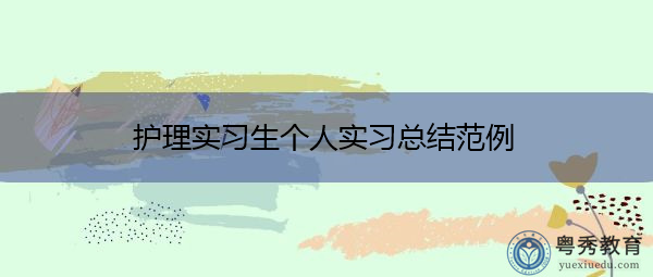 护理实习生个人实习总结范例