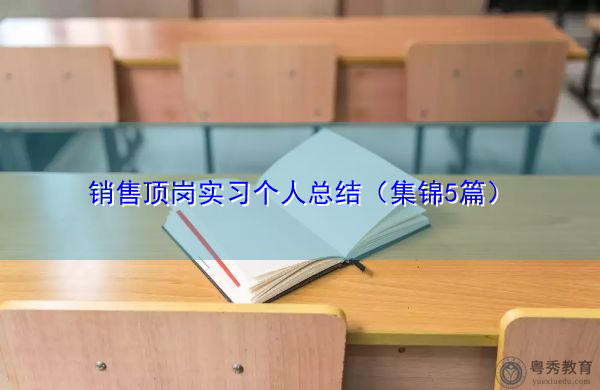 销售顶岗实习个人总结(集锦5篇) 销售顶岗实习个人总结(集锦5篇)
