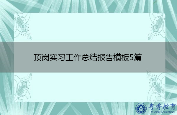顶岗实习工作总结报告模板5篇 顶岗实习工作总结报告模板5篇