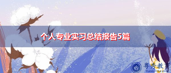 个人专业实习总结报告5篇