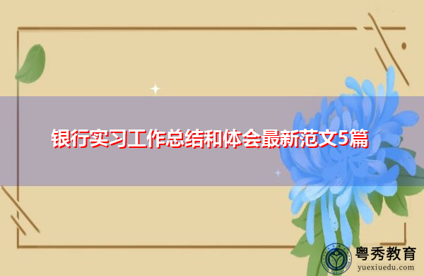 银行实习工作总结和体会最新范文5篇 银行实习工作总结和体会最新范文5篇