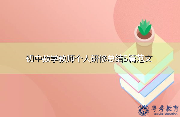 初中数学教师个人研修总结5篇范文 初中数学教师个人研修总结5篇范文