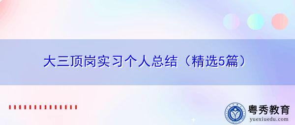 大三顶岗实习个人总结(精选5篇) 大三顶岗实习个人总结(精选5篇)