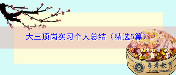 大三顶岗实习个人总结(精选5篇) 大三顶岗实习个人总结(精选5篇)