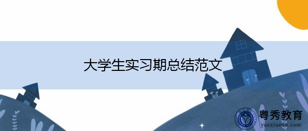 大学生实习期总结范文