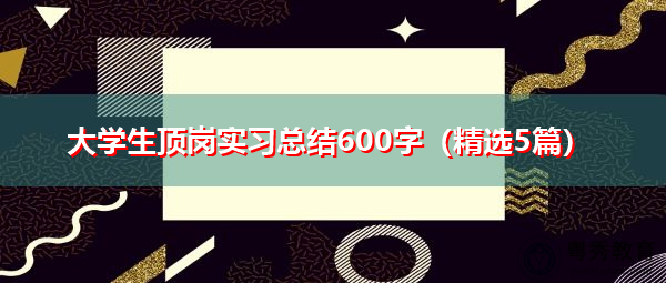 大学生顶岗实习总结600字(精选5篇) 大学生顶岗实习总结600字(精选5篇)