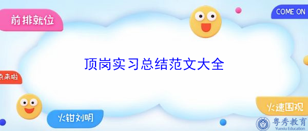 顶岗实习总结范文大全 顶岗实习总结范文大全