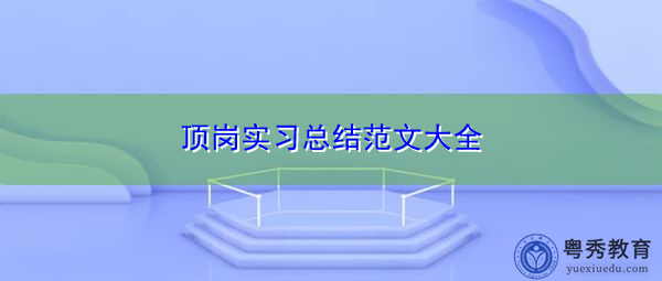 顶岗实习总结范文大全 顶岗实习总结范文大全