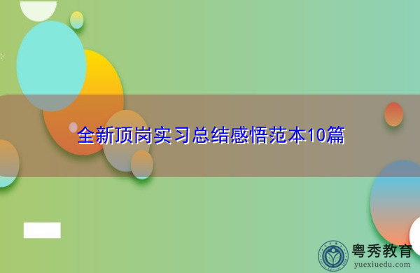 全新顶岗实习总结感悟范本10篇 全新顶岗实习总结感悟范本10篇