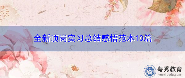 全新顶岗实习总结感悟范本10篇 全新顶岗实习总结感悟范本10篇