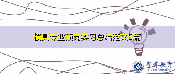 模具专业顶岗实习总结范文5篇