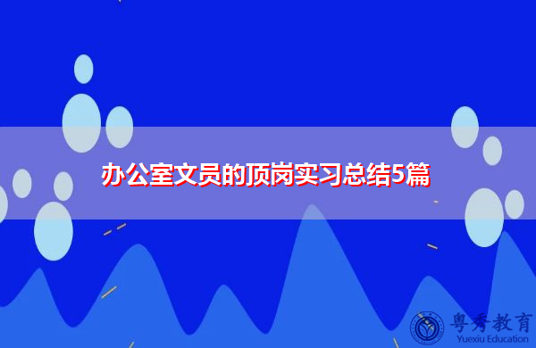 办公室文员的顶岗实习总结5篇 办公室文员的顶岗实习总结5篇