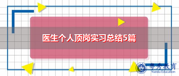 医生个人顶岗实习总结5篇