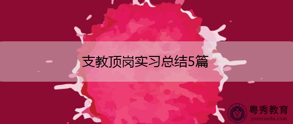 支教顶岗实习总结5篇 支教顶岗实习总结5篇
