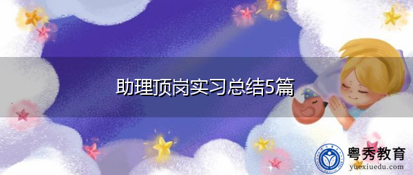 助理顶岗实习总结5篇 助理顶岗实习总结5篇