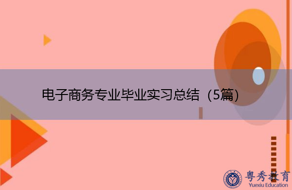 电子商务专业毕业实习总结（5篇）