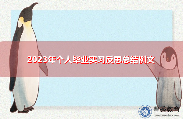 2023年个人毕业实习反思总结例文