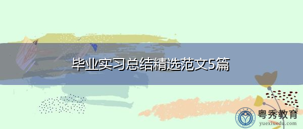 毕业实习总结精选范文5篇