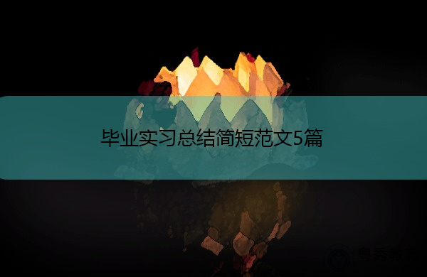 毕业实习总结简短范文5篇
