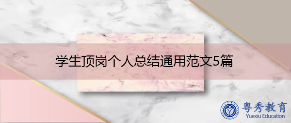 学生顶岗个人总结通用范文5篇