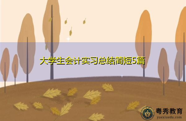 大学生会计实习总结简短5篇 大学生会计实习总结简短5篇