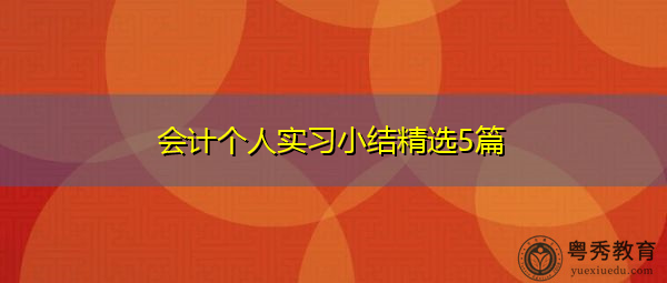 会计个人实习小结精选5篇 会计个人实习小结精选5篇