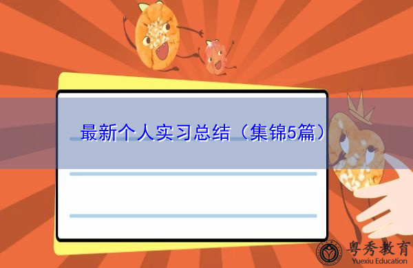 最新个人实习总结(集锦5篇) 最新个人实习总结(集锦5篇)