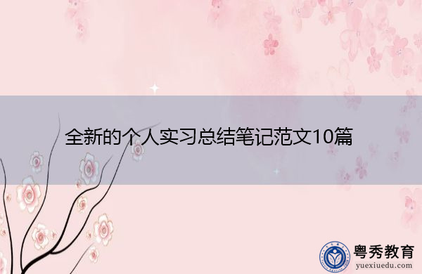 全新的个人实习总结笔记范文10篇 全新的个人实习总结笔记范文10篇