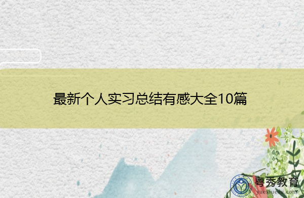 最新个人实习总结有感大全10篇 最新个人实习总结有感大全10篇
