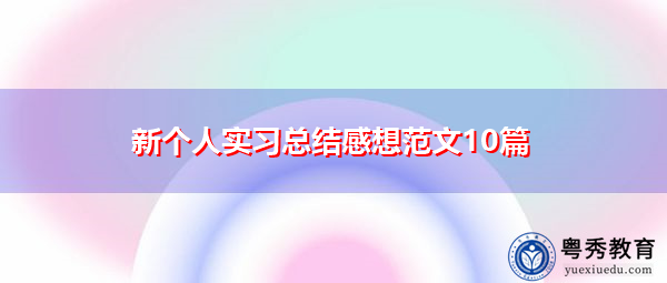 新个人实习总结感想范文10篇 新个人实习总结感想范文10篇