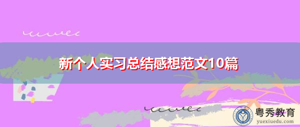 新个人实习总结感想范文10篇 新个人实习总结感想范文10篇