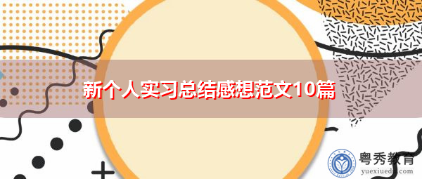 新个人实习总结感想范文10篇 新个人实习总结感想范文10篇