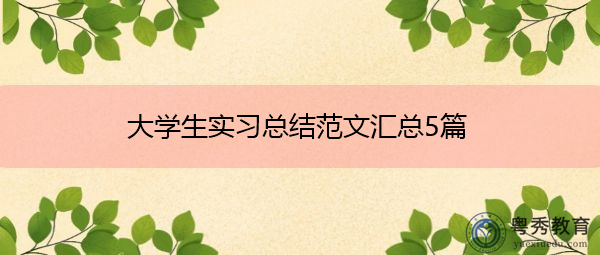 大学生实习总结范文汇总5篇 大学生实习总结范文汇总5篇