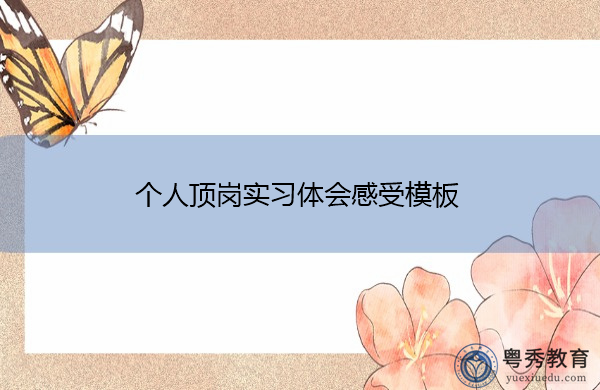 个人顶岗实习体会感受模板 个人顶岗实习体会感受模板