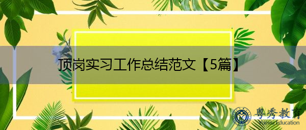 顶岗实习工作总结范文【5篇】 顶岗实习工作总结范文【5篇】
