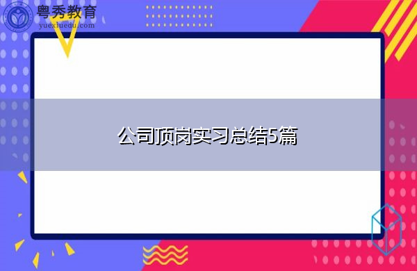 公司顶岗实习总结5篇