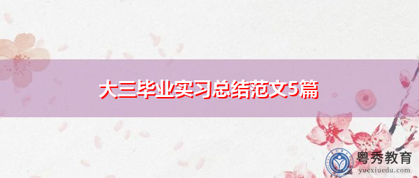 大三毕业实习总结范文5篇 大三毕业实习总结范文5篇