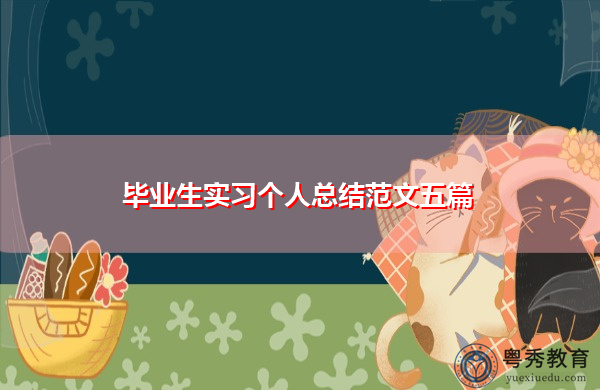 毕业生实习个人总结范文五篇