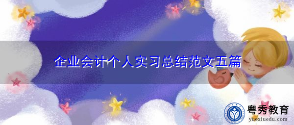 企业会计个人实习总结范文五篇 企业会计个人实习总结范文五篇