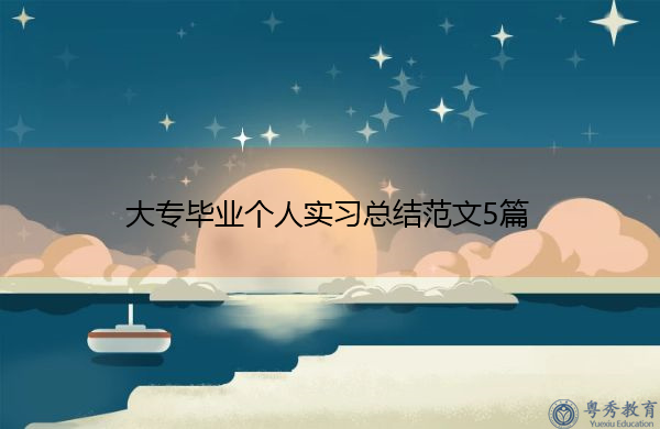 大专毕业个人实习总结范文5篇