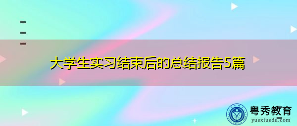 大学生实习结束后的总结报告5篇