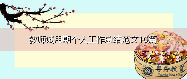 教师试用期个人工作总结范文10篇 教师试用期个人工作总结范文10篇