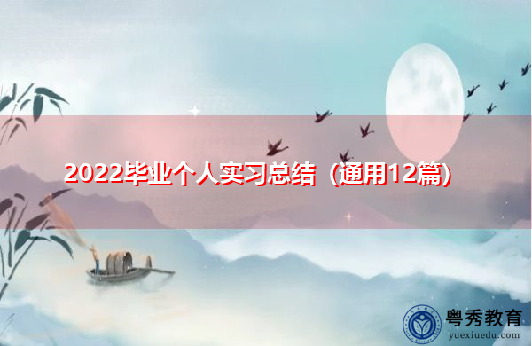 2022毕业个人实习总结（通用12篇）