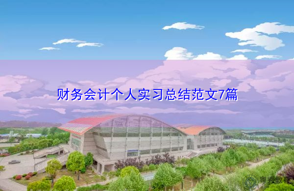 财务会计个人实习总结范文7篇 财务会计个人实习总结范文7篇