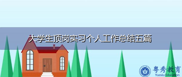大学生顶岗实习个人工作总结五篇 大学生顶岗实习个人工作总结五篇