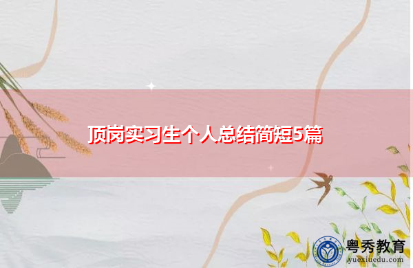 顶岗实习生个人总结简短5篇 顶岗实习生个人总结简短5篇
